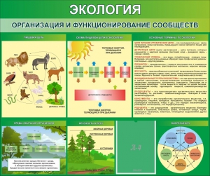 Стенд "Экология. Организация и функционирование сообществ" - fgospostavki.ru - Донецк