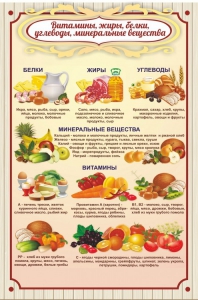 Стенд "Витамины, жиры, белки" - fgospostavki.ru - Донецк