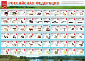 Стенд "Красная книга РФ" - fgospostavki.ru - Донецк