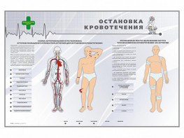 Электрифицированный стенд "Остановка кровотечения" - fgospostavki.ru - Донецк
