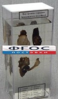 Влажный препарат "Внутреннее строение брюхоногого моллюска" - fgospostavki.ru - Донецк