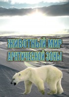 DVD "Животный мир Арктической зоны" - fgospostavki.ru - Донецк