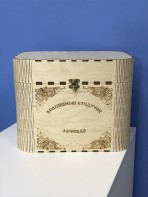 Сундук логопеда "Все для неговорящих детей" - fgospostavki.ru - Донецк