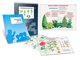 Комплект кодотранспарантов "Культурные растения" - fgospostavki.ru - Донецк