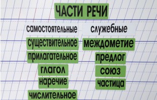 Набор магнитных карточек "Части речи" (фон зелёный) - fgospostavki.ru - Донецк
