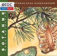 Ботаника. Микрофотографии. (Цифровая база изображений) - fgospostavki.ru - Донецк