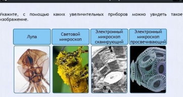Интерактивные курсы. Биология 5 класс. Расширенный - fgospostavki.ru - Донецк
