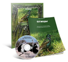 Электронное наглядное пособие «Птицы» - fgospostavki.ru - Донецк