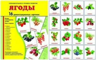 Демонстрационные карточки "Ягоды" - fgospostavki.ru - Донецк