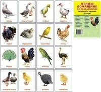 Раздаточные карточки "Птицы домашние и декоративные" - fgospostavki.ru - Донецк