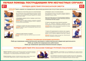 Таблица "Порядок действий при внезапной смерти" (100х140 сантиметров, винил) - fgospostavki.ru - Донецк
