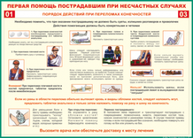 Таблица "Порядок действий при переломах конечностей" (100х140 сантиметров, винил) - fgospostavki.ru - Донецк