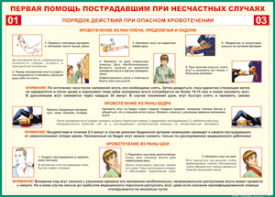 Таблица "Порядок действий при опасном кровотечении" (100х140 сантиметров, винил) - fgospostavki.ru - Донецк