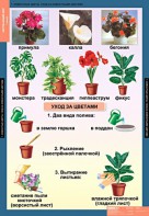Комплект таблиц. Окружающий мир 1 класс. - fgospostavki.ru - Донецк