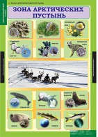 Комплект таблиц. Окружающий мир 4 класс. - fgospostavki.ru - Донецк