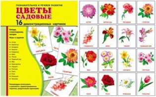 Демонстрационные карточки "Цветы садовые" - fgospostavki.ru - Донецк