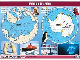 Таблица демонстрационная "Арктика и Антарктика" (винил 100*140) - fgospostavki.ru - Донецк