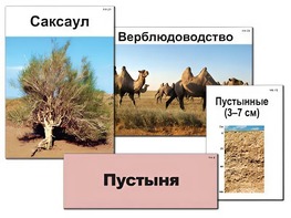 Модель-аппликация "Природные зоны России" (ламинированная) - fgospostavki.ru - Донецк