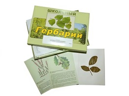 Гербарий "Дикорастущие растения" (30 видов, с иллюстрациями) - fgospostavki.ru - Донецк