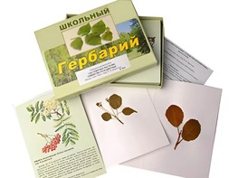Гербарий "Систематика растений. Семейство Розоцветные" (раздаточный) - fgospostavki.ru - Донецк