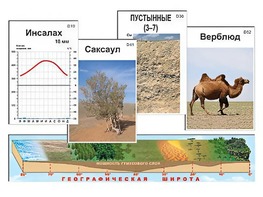 Модель-аппликация "Природные зоны" - fgospostavki.ru - Донецк