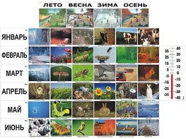 Фенологические наблюдения - fgospostavki.ru - Донецк