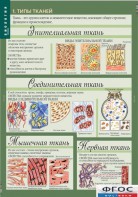Комплект таблиц. Биология 8-9 класс. Человек. - fgospostavki.ru - Донецк
