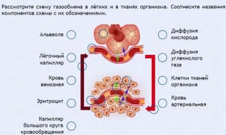 Интерактивные курсы. Биология 9 класс. Расширенный. - fgospostavki.ru - Донецк