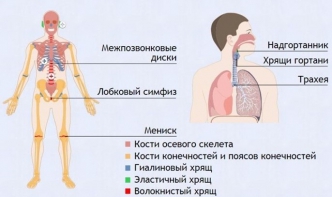 Интерактивные курсы. Биология 9 класс. Базовый. - fgospostavki.ru - Донецк