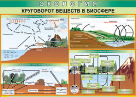 Таблица "Круговорот веществ в биосфере" (100х140 сантиметров, винил) - fgospostavki.ru - Донецк