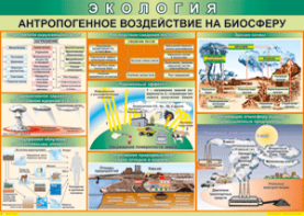 Таблица "Антропогенное воздействие на биосферу" (100х140 сантиметров, винил) - fgospostavki.ru - Донецк