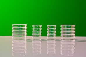 Набор чашек Петри - fgospostavki.ru - Донецк