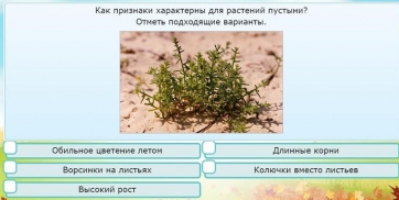 Интерактивные курсы. Окружающий мир 3 класс . Базовый. - fgospostavki.ru - Донецк