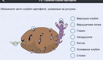 Интерактивные курсы. Биология 6 класс. Расширенный - fgospostavki.ru - Донецк