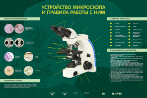 Электрифицированный стенд "Устройство микроскопа и правила работы c ним" - fgospostavki.ru - Донецк