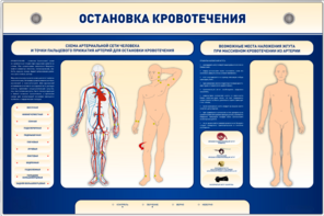 Электрифицированный стенд-тренажер "Остановка кровотечения" - fgospostavki.ru - Донецк