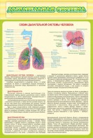 Стенд "Дыхательная система" - fgospostavki.ru - Донецк