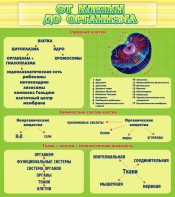 Стенд "От клетки до организма" - fgospostavki.ru - Донецк