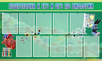 Стенд "Подготовка к ЕГЭ и ОГЭ по биологии" Вариант 2 - fgospostavki.ru - Донецк
