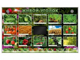 Комплект оборудования "Живой уголок" (растения) - fgospostavki.ru - Донецк