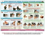 Комплект плакатов "Оказание первой доврачебной медицинской помощи" - fgospostavki.ru - Донецк