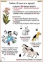 Комплект кодотранспарантов "Ядовитые растения" - fgospostavki.ru - Донецк