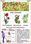 Комплект кодотранспарантов "Ядовитые растения" - fgospostavki.ru - Донецк